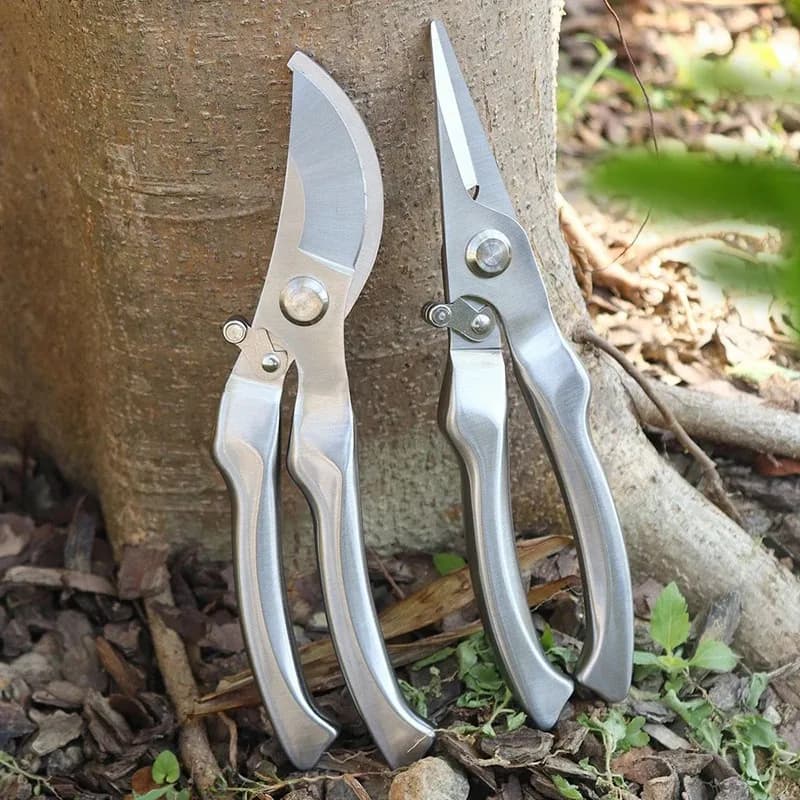 Professional pruning scissors made entirely of stainless steel, suitable for pruning branches of trees, fruit harvesting and gardening.
