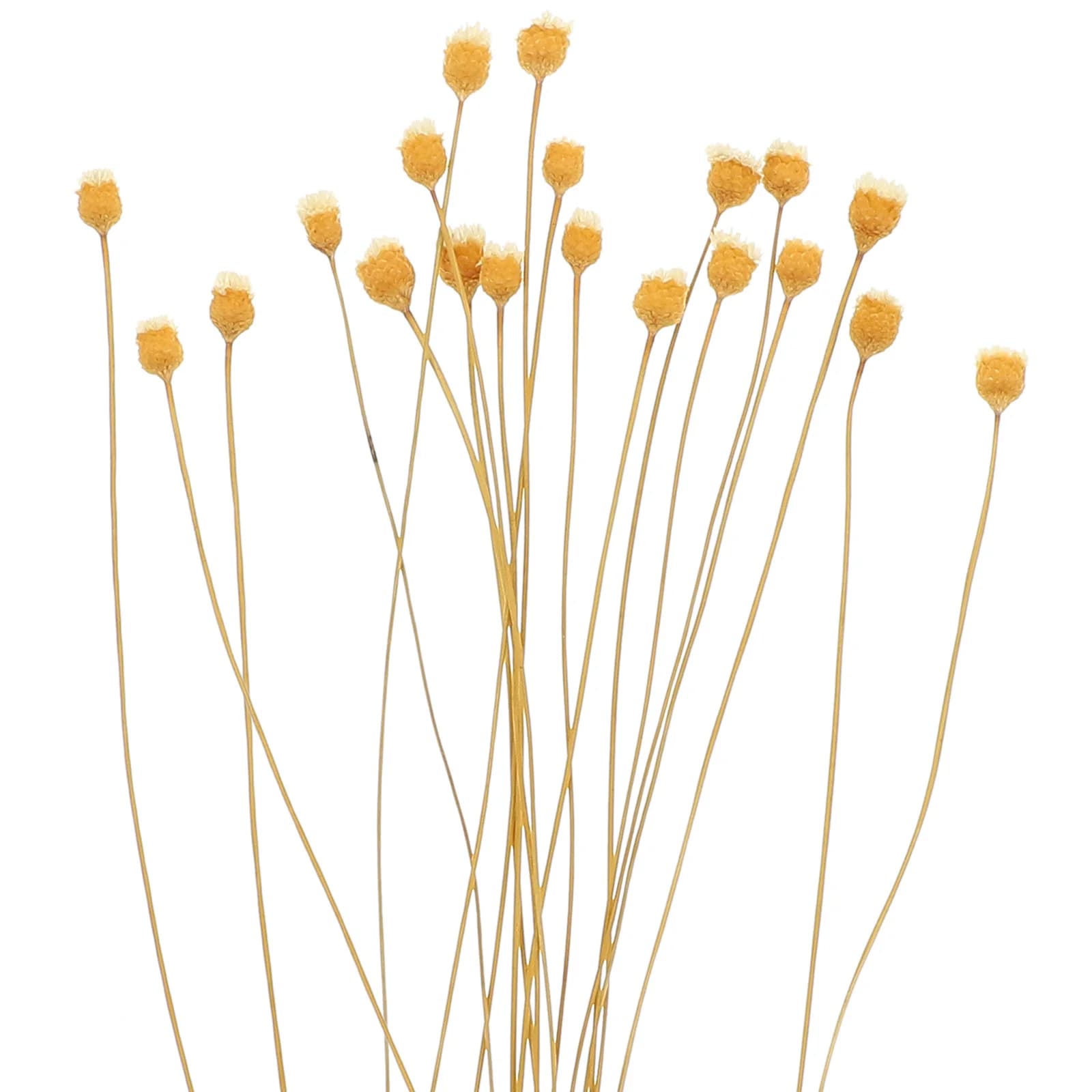 20 Pcs aromaterapia bastoncini di incenso in Rattan diffusore di fragranze decorare sostituire la bacchetta per diffusori in legno