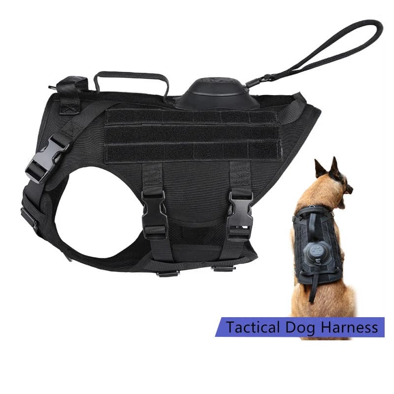 Pettorina Tattica per Cani, Set Pettorina e Guinzaglio Molle Anti-Fuga, Pettorina Militare Regolabile con Maniglia