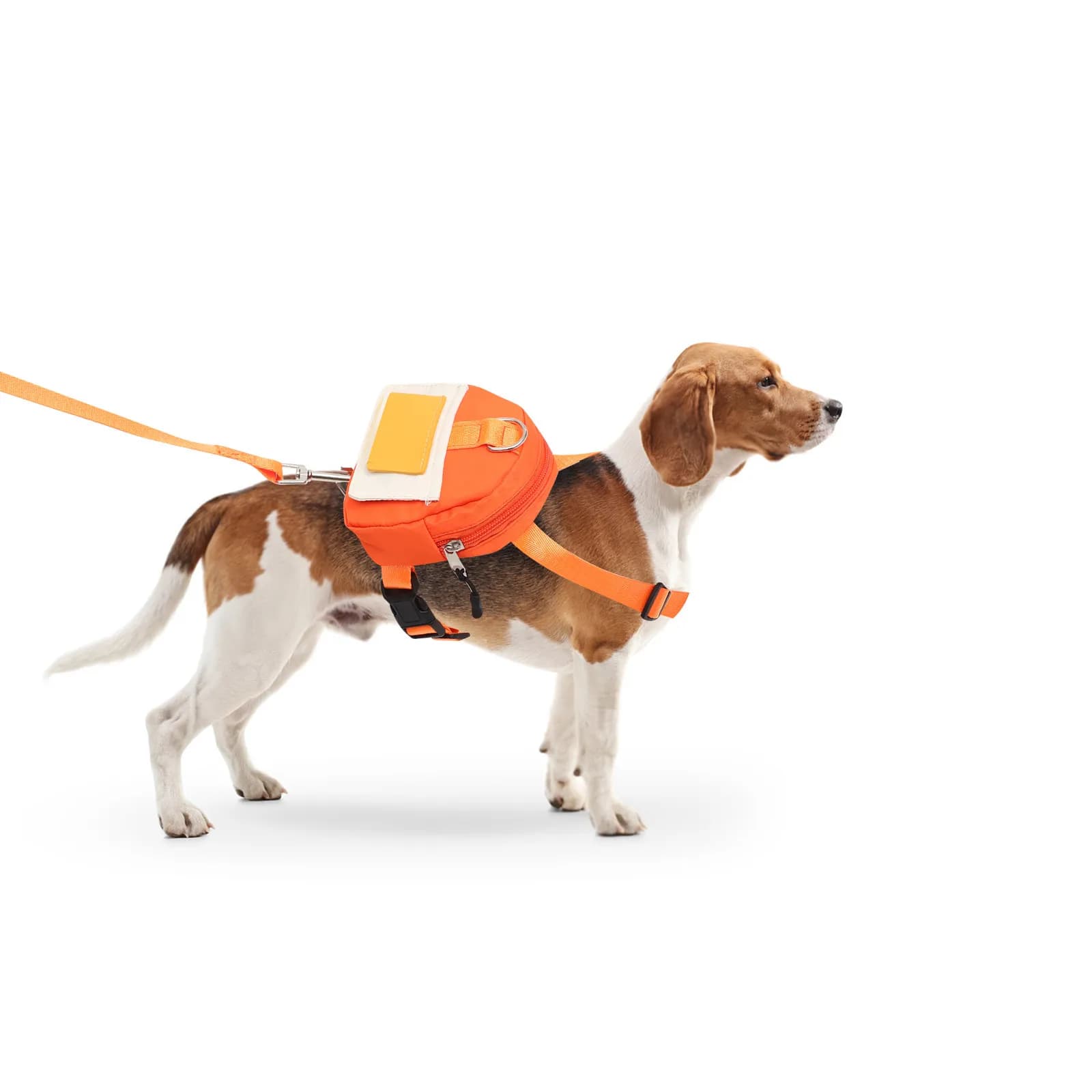 Set Zaino per Cani, Borsa da Trasporto per Cuccioli, Imbracatura con Sella, Accessori Portatili per Cani, Stabile e Affidabile per Escursioni