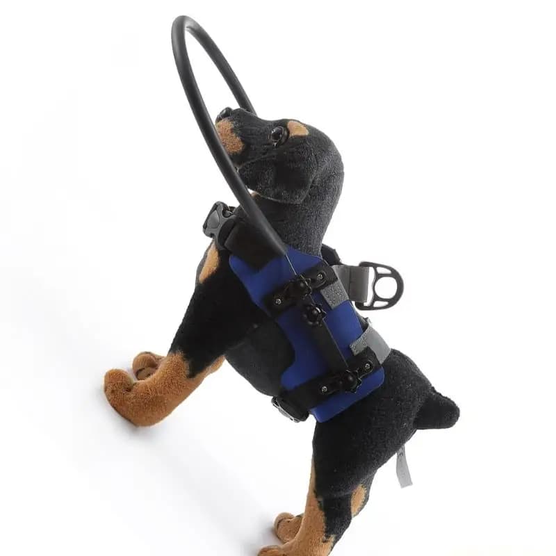 QX2E Quick Installation Pet Harness Protective Collar Leash for Eye Impaired Dogs