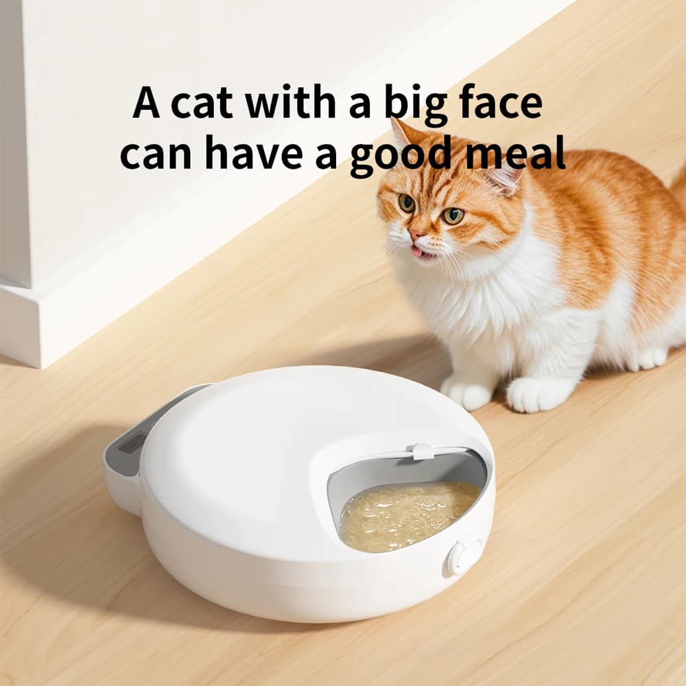4 pasti mangiatoia automatica per gatti per erogatore di cibo per alimentazione a secco e bagnato per gatti ciotola per mangiatoia per animali domestici intelligente multifunzionale per cani