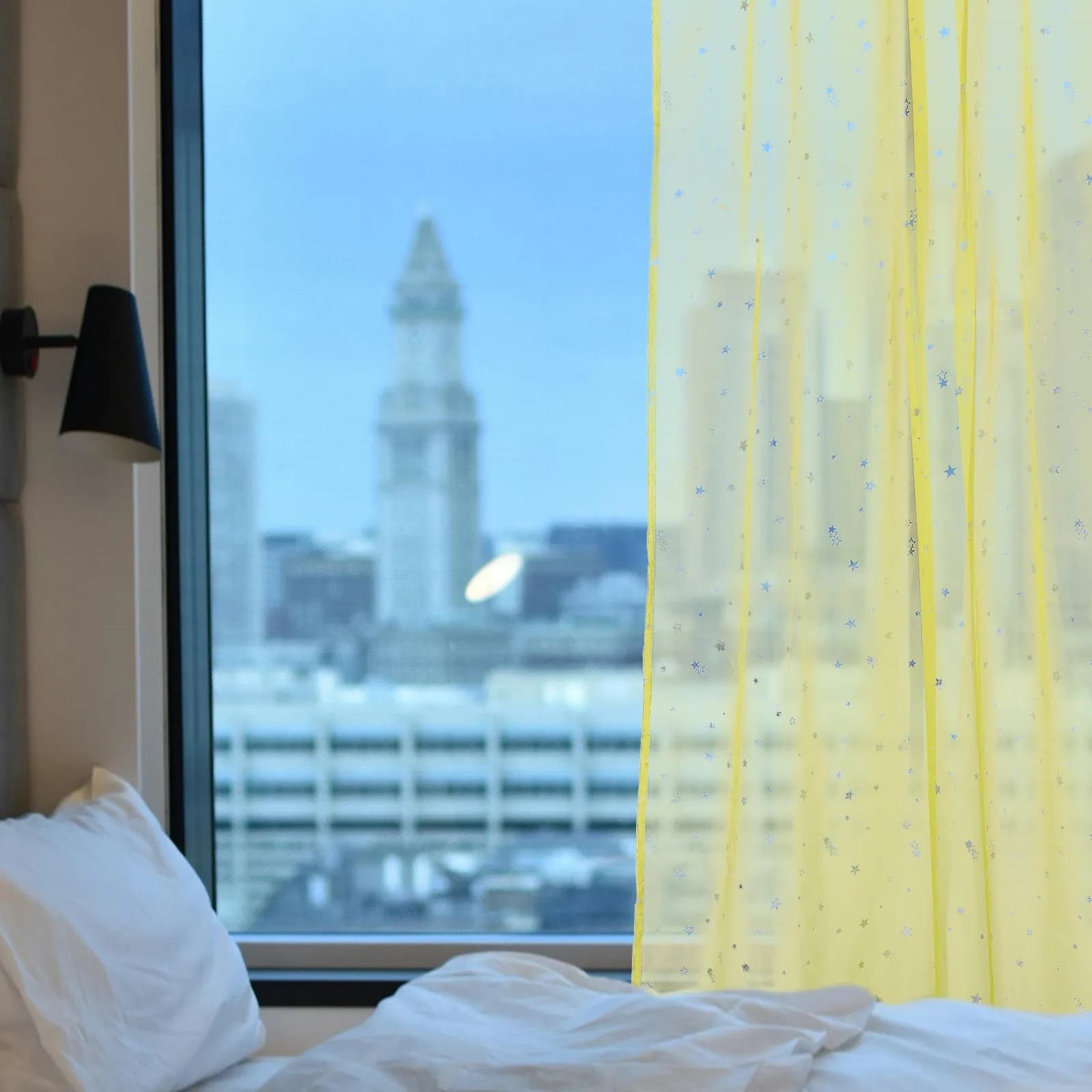 Tende Trasparenti Stampate 100x270cm, Pannello in Voile per Camera da Letto Femminile, Elegante e Romantico Trattamento per Finestre