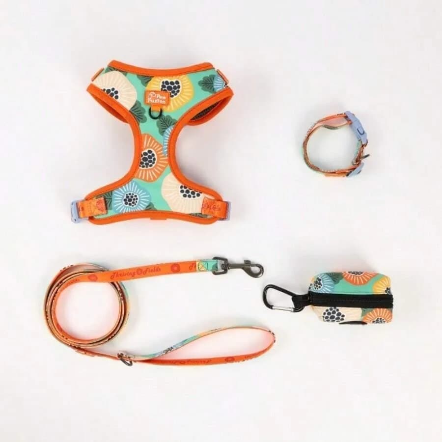【New style】Pet Travel Walking Set 4-Piece Harness, Leash, Collar, And Poop Bag Holder For Dogs