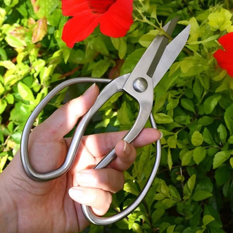 Stainless steel pruning shears Portable gardening scissors Power bonsai Tools for cutting flower branches Cutting tools for home