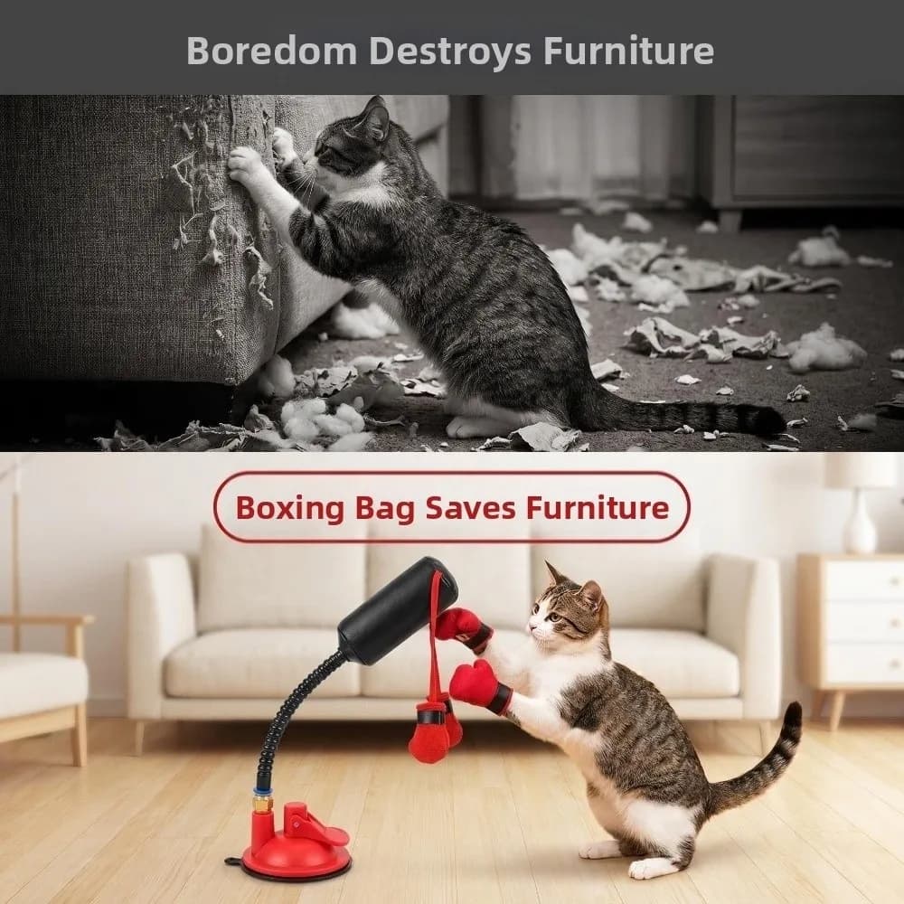 Funny Creative Cat Boxing Standing Self-Play Pet Punching Bag Boxing Gloves Bite Resistant Interactive Cat Exercise Training
