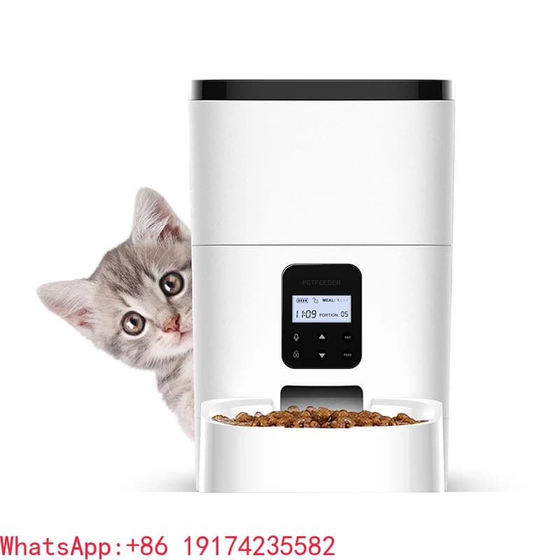 Automatico Automatico Gatto Cane Timer Intelligente Alimentatore Per Animali Domestici Intelligente Automatico Microchip Gatto Cane Mangiatoia Per Animali Domestici Mangeoire Ciotola Per Alimenti