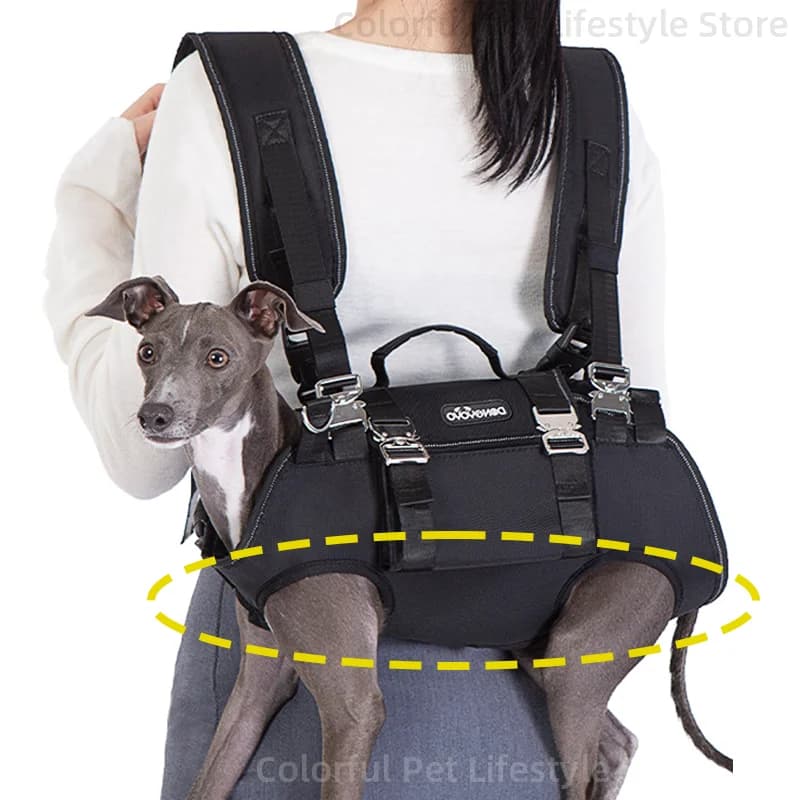 Zaino per cani da ciclismo Viaggio Escursionismo Trasportino per cani da esterno Borse per il trasporto per cani Protezione della colonna vertebrale del cane Traspirante Portatile rimovibile