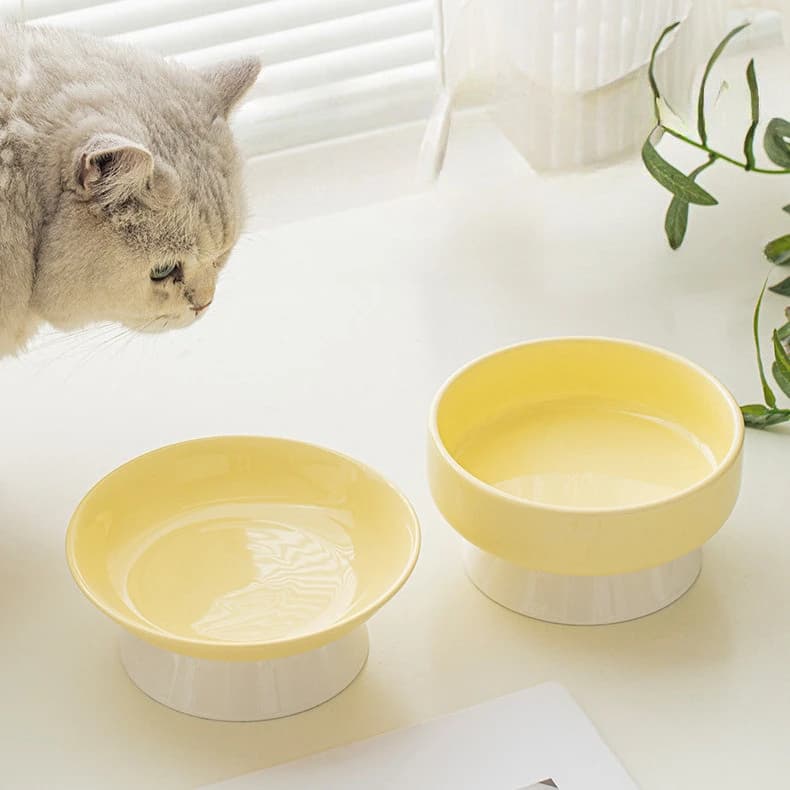 Ciotola in ceramica per gatti, protettiva per le vertebre cervicali, per cibo e acqua, con bocca obliqua, accessori per animali domestici, ciotola per ramen, cibo per gatti