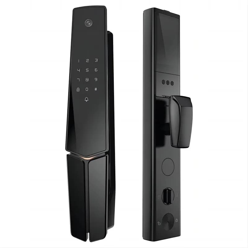 Serratura con maniglia per porta intelligente senza chiave con impronta digitale con serrature intelligenti Wifi per porta d'ingresso