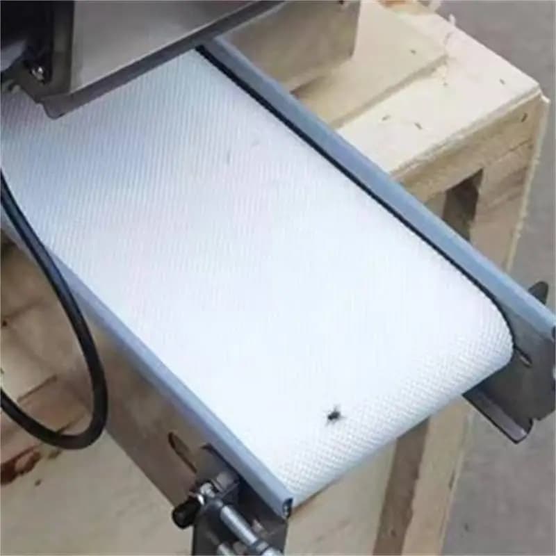 Macchina per Sfoglie di Ravioli 110V 220V, Impastatrice Automatica Commerciale in Acciaio Inox per Pasta e Noodle