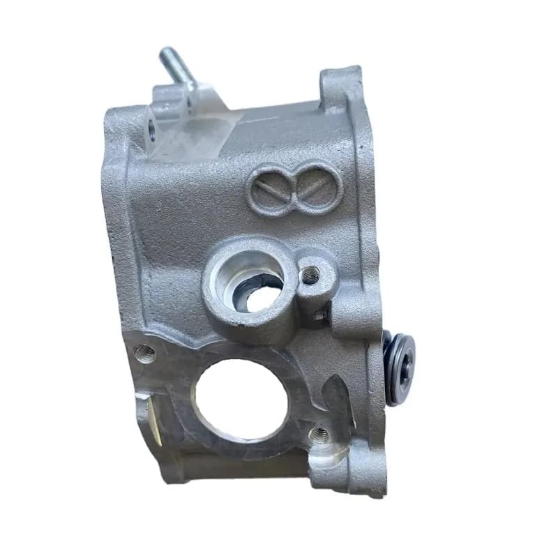 New Cylinder Head for Fits GY6 250cc Cf250 Engine Part Moped Scooter Go Kart ATV Quad forKazuma forRoketa