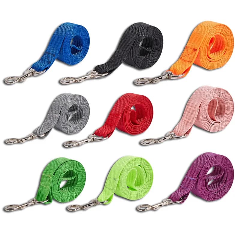 Pet Leash & Collar Set, Durable Dog Lead, Walking Training Rope, Adjustable Harness Leash for Puppies and Dogs, Daily Outdoor