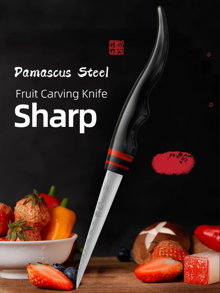 GAINSCOME Coltello da intaglio da cucina 67 strati in acciaio di Damasco affilato non macinato piatto di frutta verdura intaglio coltelli principali principali