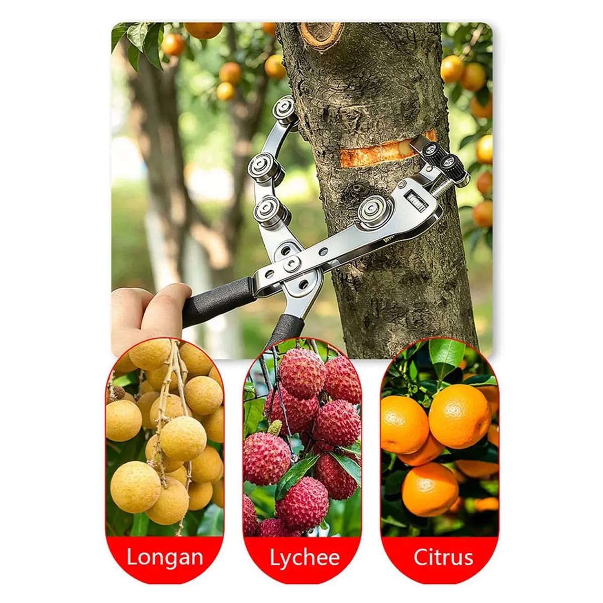 Home Tool Fruit Tree Ring Cutter Double Pulley Bark Peeler Girdling Pliers Pruning Shears for Citrus Jujube Gardening Tool 2-5mm
