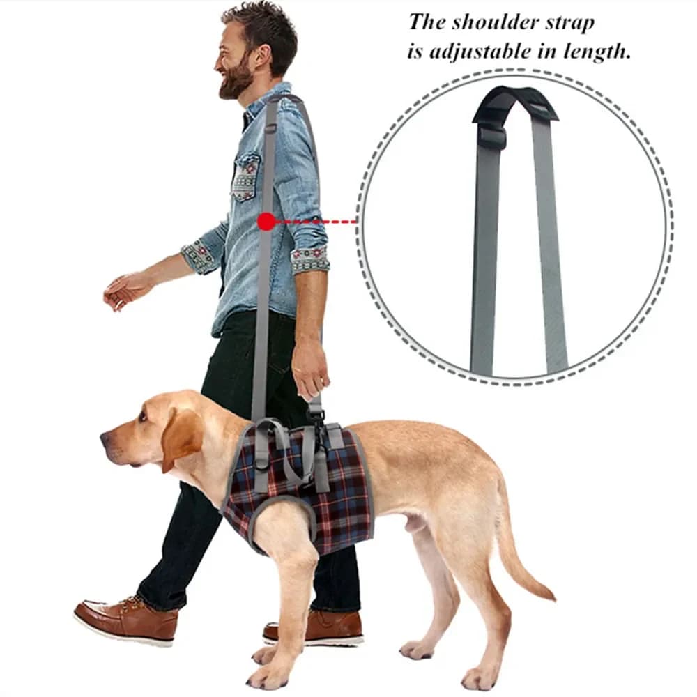 Imbracatura regolabile per il sollevamento del cane per le gambe posteriori imbracatura di supporto per animali domestici aiuta le gambe deboli a alzarsi in piedi strumento di aiuto per cani da compagnia per cani anziani