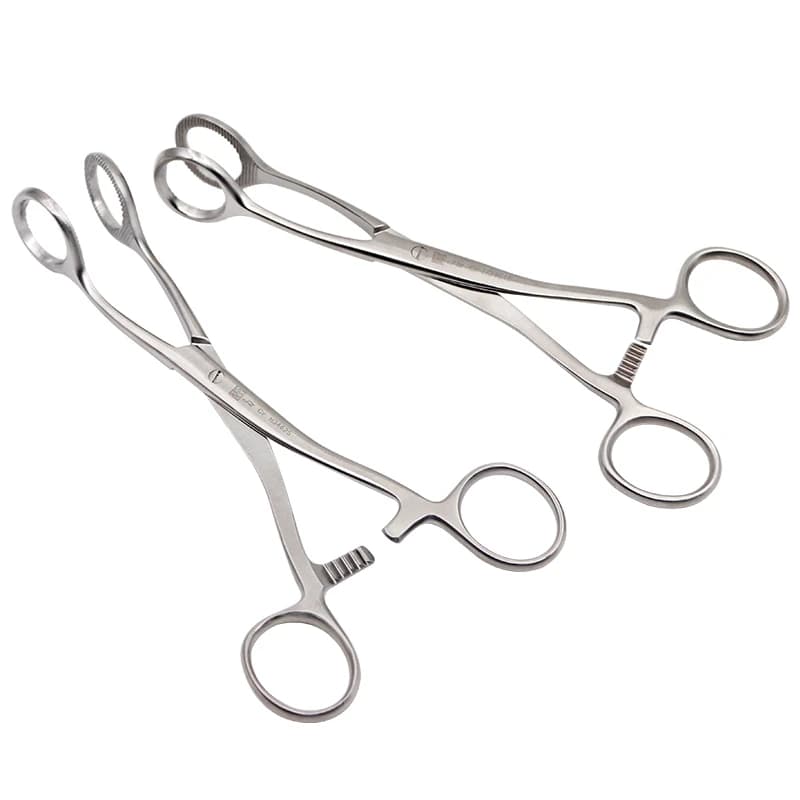 1 pz Dental Tongue pinze dritto curvo testa anello di chiusura corpo Piercing pinza orecchio lingua setto naso morsetto Plie dentista strumenti