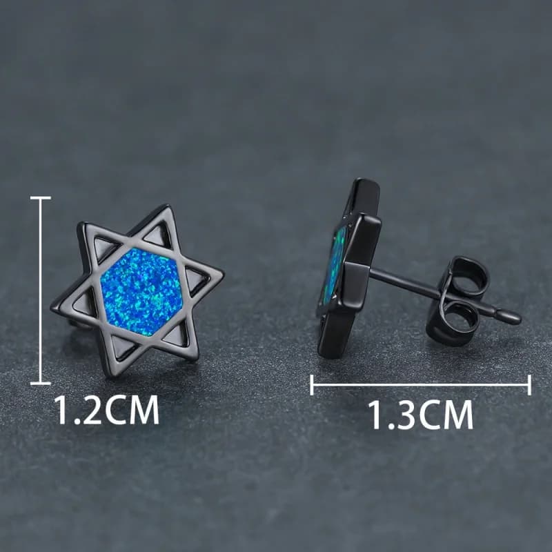 Gli orecchini del tesoro australiano blu stella esagonale nera e fibbie per le orecchie sono accessori alla moda, versatili e semplici