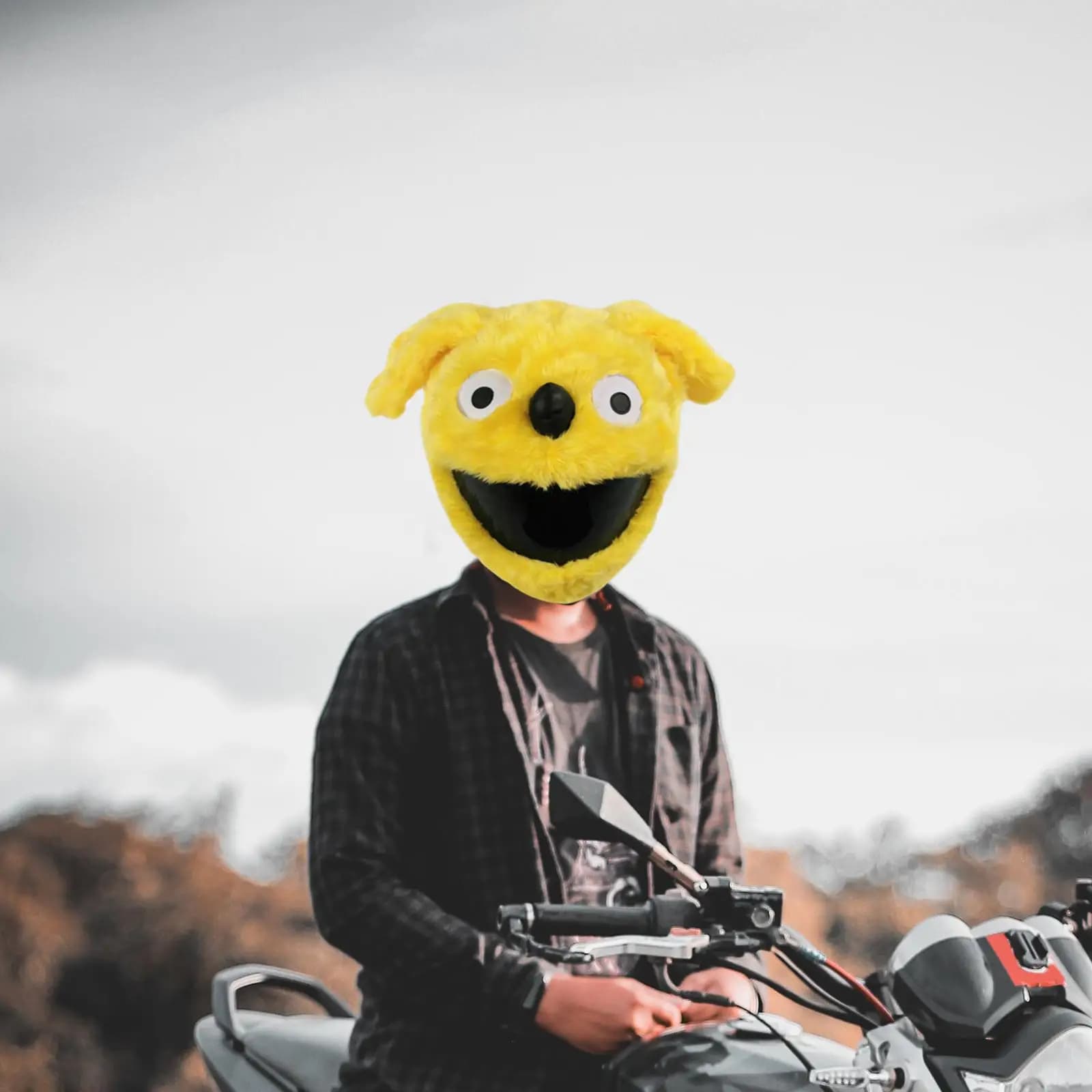 Copricasco da motociclista Morbido moto per caschi integrali Peluche Aumenta la guida Divertenti regali universali Copricasco divertente