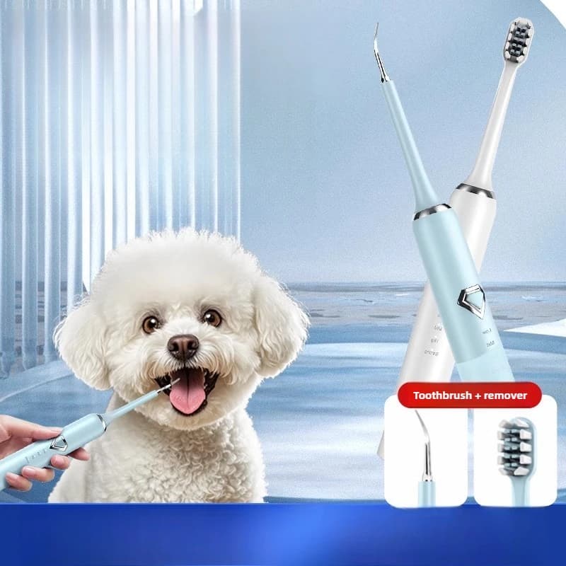 Rimozione professionale del calcolo dentale Spazzola per la pulizia dei denti a basso rumore Spazzolini per cani Forniture per denti orali per gatti impermeabili