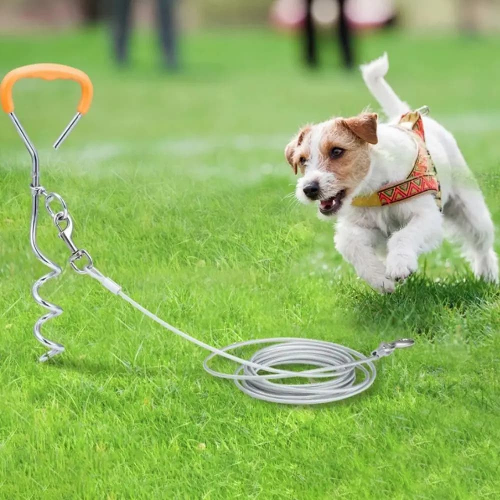 Multifunctional Double-headed Dog Tie Out Cable Anti-rust Bite-proof Clothesline with Metal Buckle Dogs Strap Parking