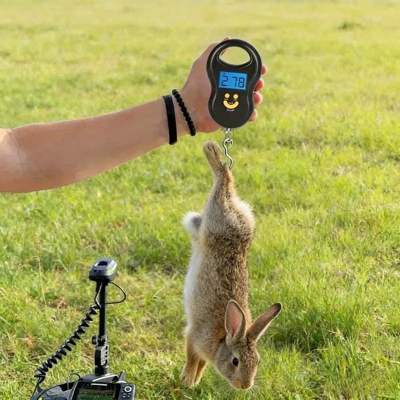 Bilancia digitale sospesa da 50 kg/110 libbre - Bilancia tascabile portatile con retroilluminazione LCD per pesca, bagagli e pesi