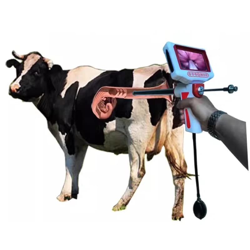 Portable Artificial Insemination Gun for Cattle (with Camera) – Artificial Insemination Equipment with Vibration and Heating Fu
