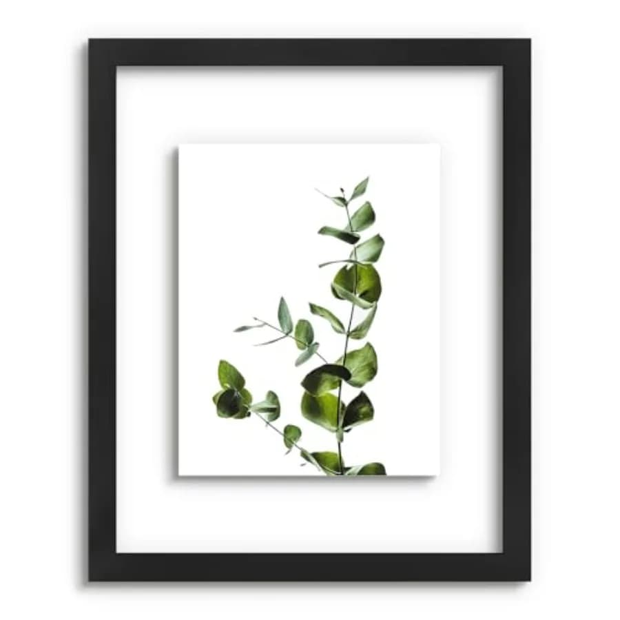 Cornici per Fiori Pressati - 16x20 - Fronte in Vetro Vero - Per Foto 11x14 con Effetto Fluttuante o 16x20 Senza - Cornice in Legno Massello
