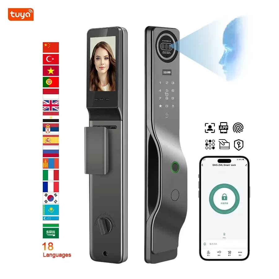 Serratura biometrica per impronte digitali Rfid Digital Smart Lock Riconoscimento facciale Wifi integrato App Tuya Serrature per porte anteriori con telecomando