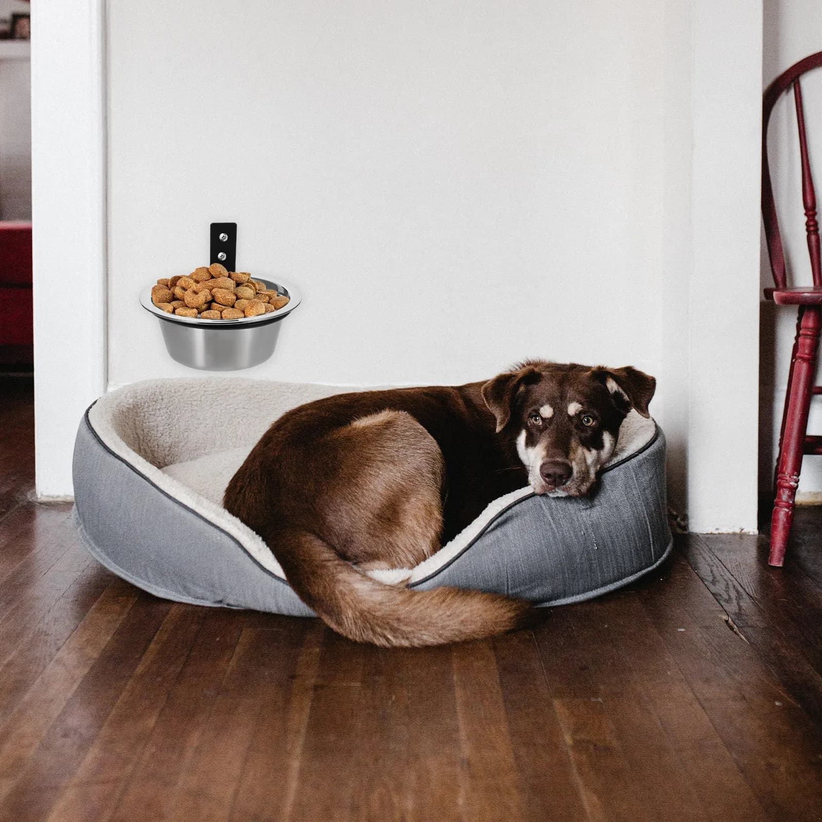 1Set Elevated Dog Bowl Raised Pet Feeding Bowl Stainless Steel Bite Resistant Water Food Container for Small Medium Large Dogs