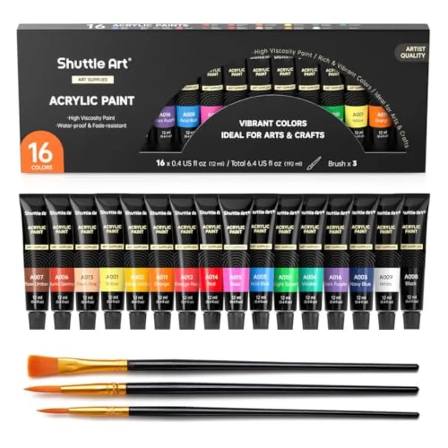 Acrylic Paint Set, x12ml Tubes Artist Quality Non Toxic Rich Pigments Great for Adults Professional Painting on Canvas Wood Cla