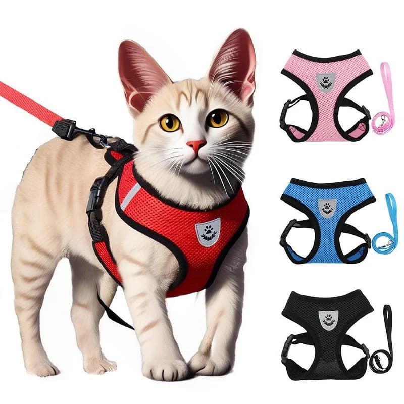 Guinzaglio e Pettorina per Gatti, Tenda per Gatti, Pettorina per Gattini, Cinghia per Gatti, Collare Anti-Fuga per Animali Domestici, Pettorina a Gilet, Collare per Cani MBD01