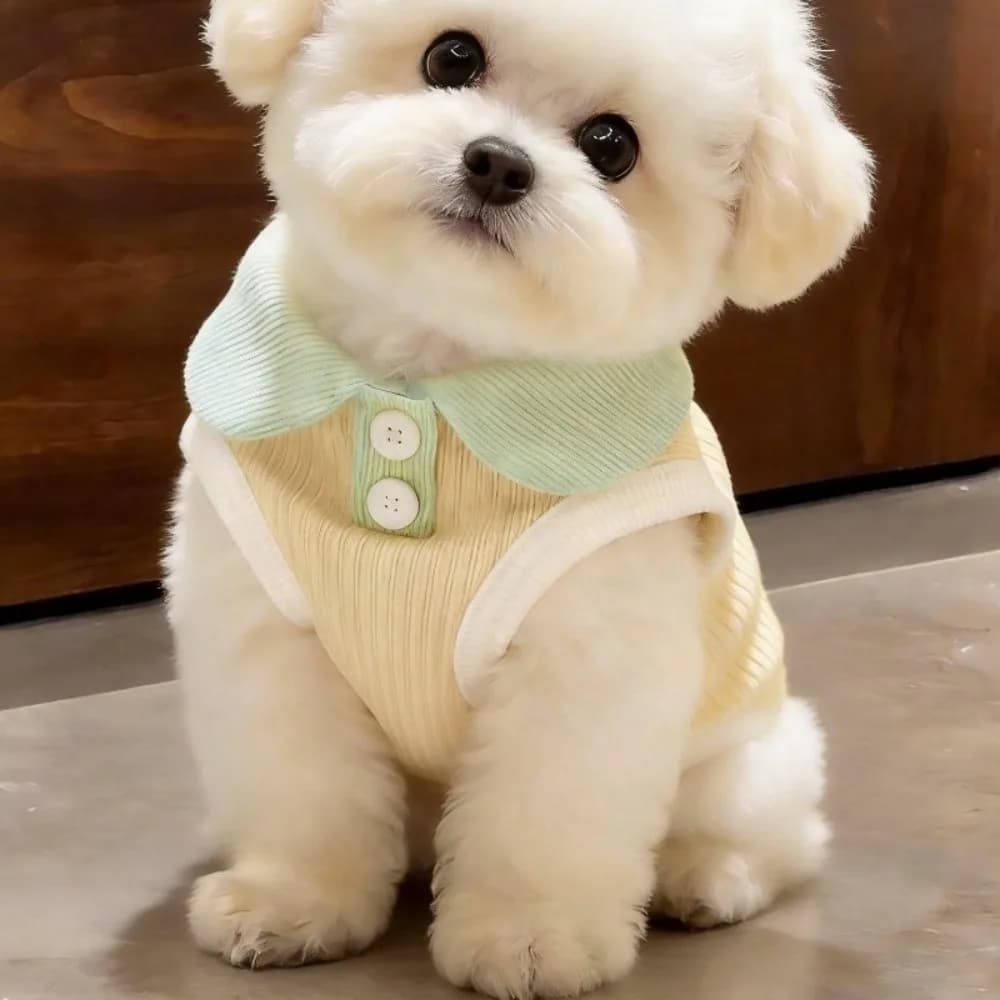 Magliette per Animali Domestici, Camicia Sottile per Cani, Gilet Morbido e Confortevole, Abbigliamento Casual Traspirante per Cani