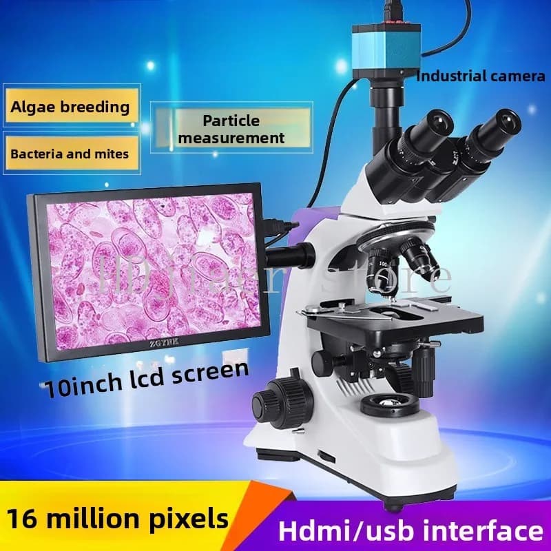 Microscopio binoculare BM-500T schermo di visualizzazione per ricerca scientifica ad alto ingrandimento particelle di polvere biologica ad alta definizione