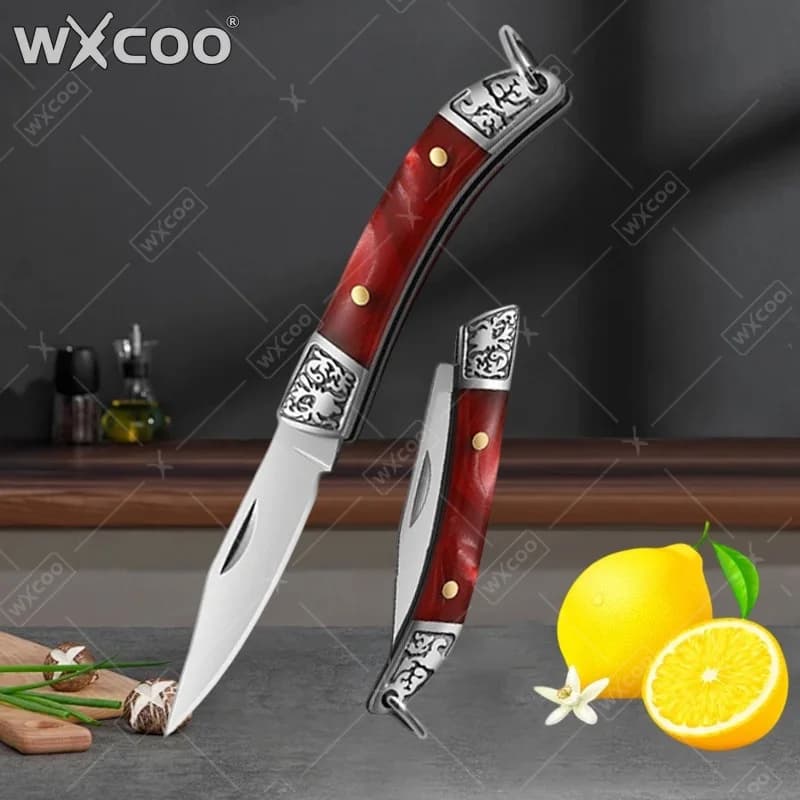 Coltello Mini Pieghevole WXCOO per Uso Domestico con Manico Antiscivolo, Coltello da Cucina in Acciaio Inossidabile per Frutta e Verdura