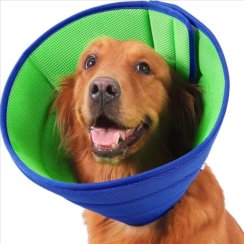 ABKP-2X Collare conico per cani Protettivo per ferita M