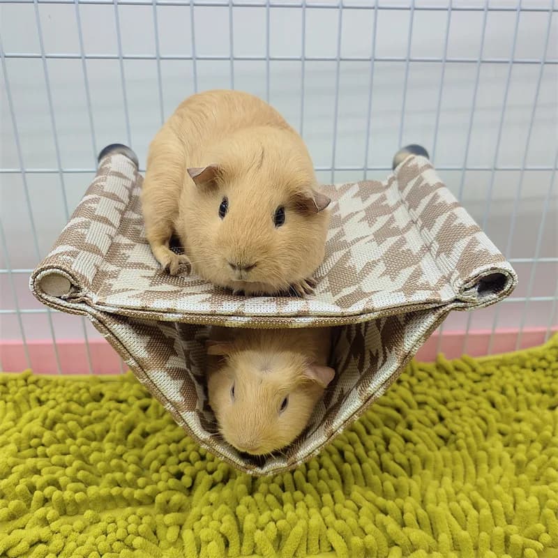 Hamster Hammock Guinea Pig Bed Golden Bear Sugar Glider Squirrel Pet Cage Hanging Platform Hamster Sleeping Bed Small Pet Nest
