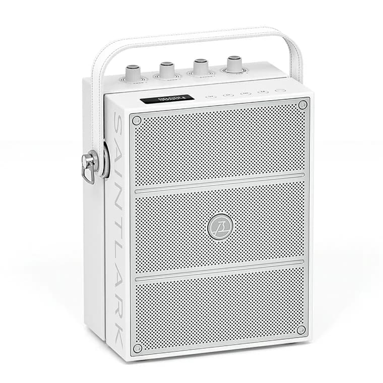 Sistema karaoke portatile con controllo eco, alti e bassi, altoparlante Bluetooth e microfono wireless per conferenze e didattica