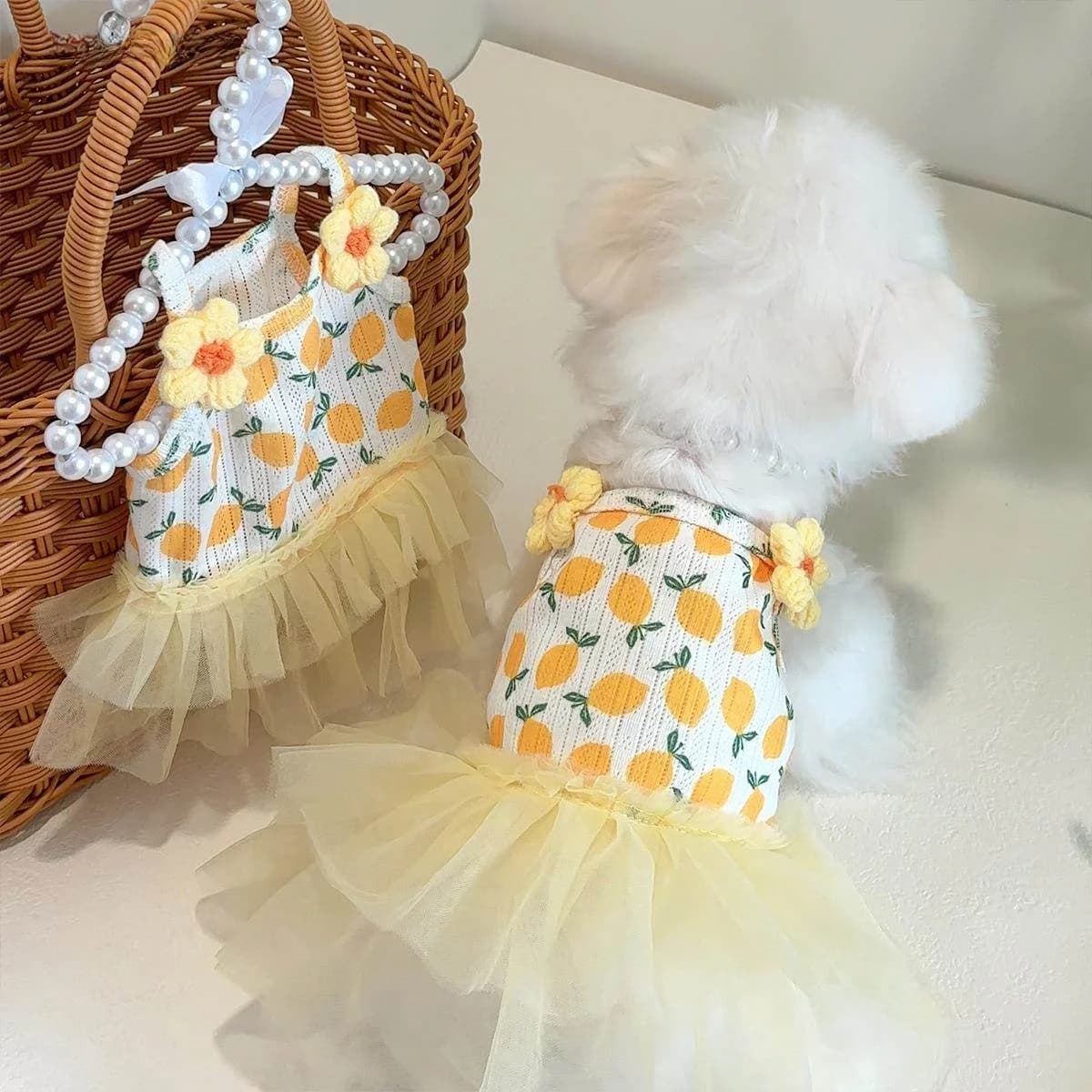 Nuovi Vestiti Autunnali per Animali Domestici: Gilet con Bretelle a Gonna Limone per Cani Teddy, Bichon, Maltese - Abbigliamento e Accessori Impermeabili