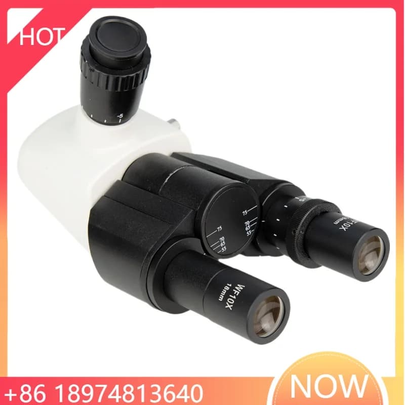 Testa trinoculare libera articolata per microscopio biologico Distanza interpupilare Microscopio binoculare stereo ottico 55-75mm