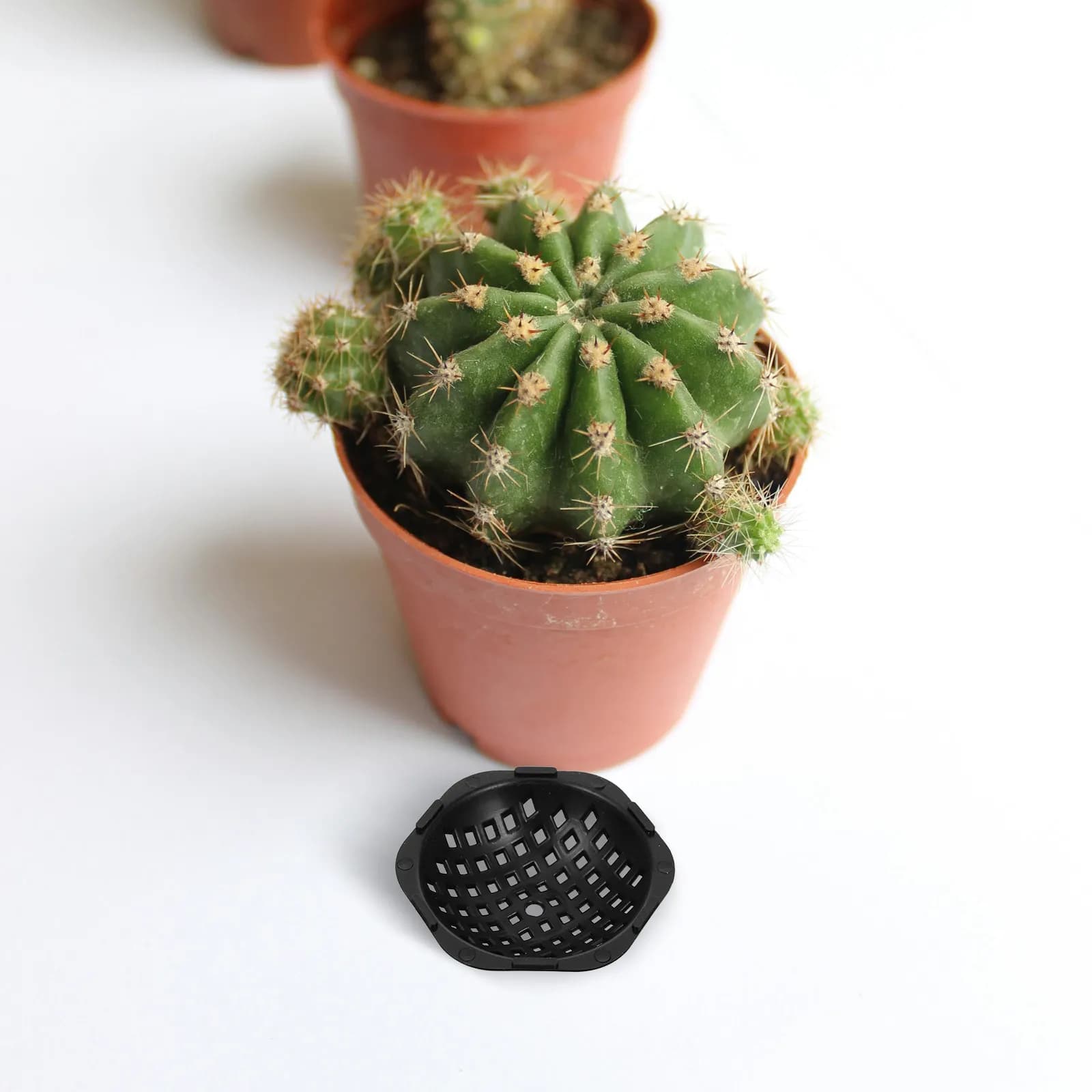 20 Pieces Plastic Rolling Mats for Draining Holes Flower Jars, Base Filters 7,5 cm Plants for Bonsai Containers and Planters