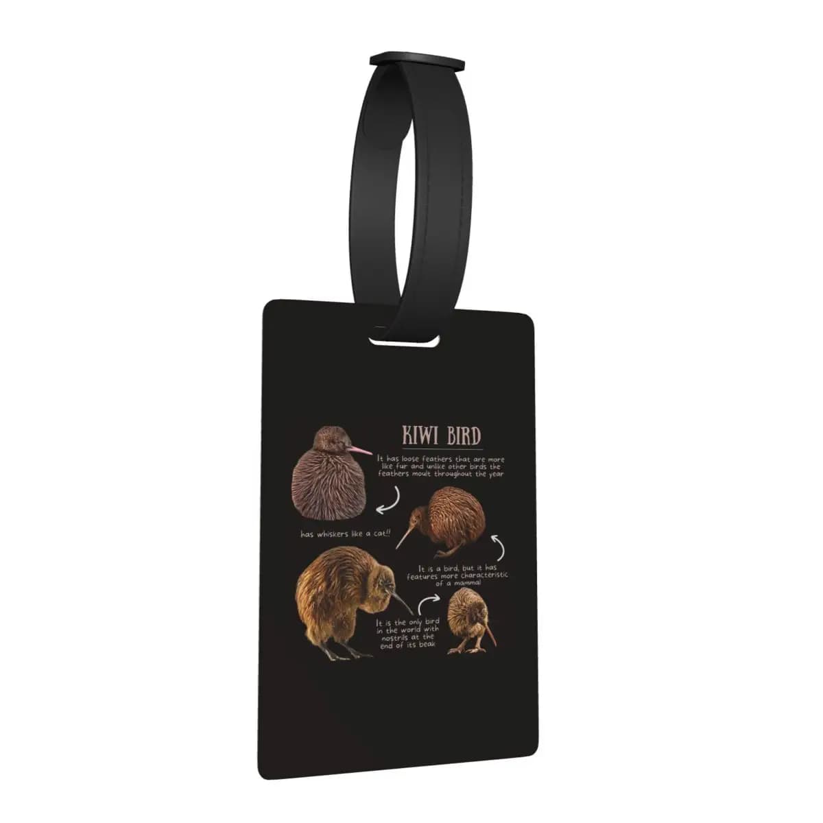 Etichette per Bagagli con Fun Facts sul Kiwi, Accessori per Valigie, Tag per Bagaglio da Viaggio, Porta Etichetta con Nome e Indirizzo