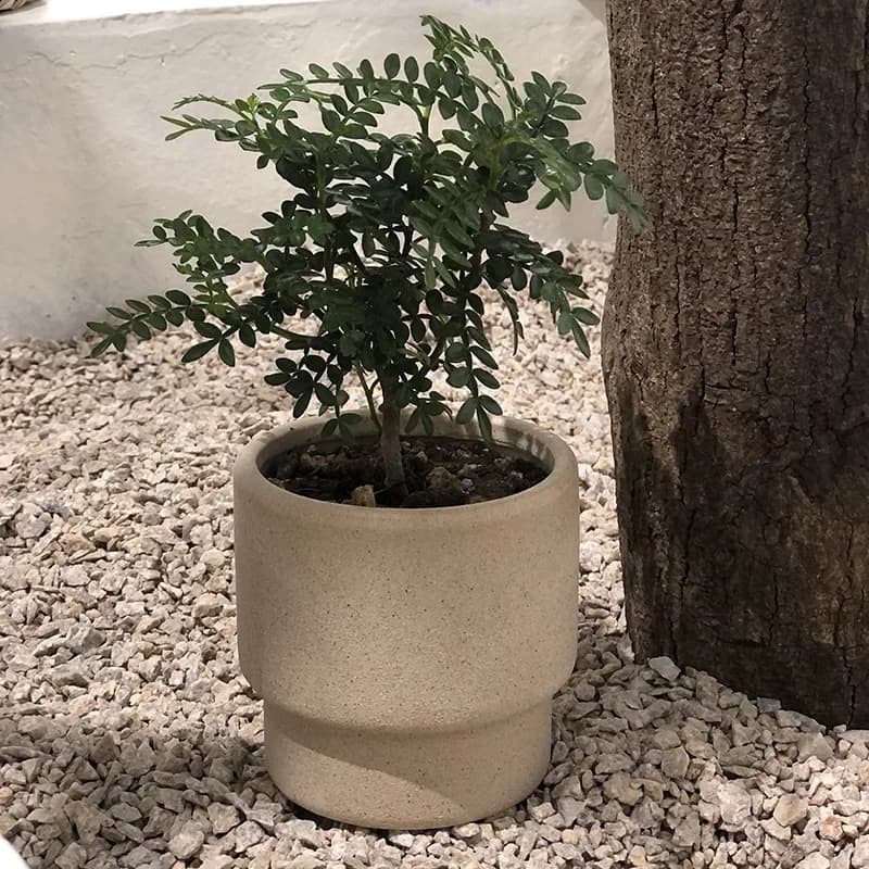 Vaso da fiori in ceramica Pianta verde Pianta in vaso da tavolo Caffetteria Decorazione Forniture da giardino Fioriere