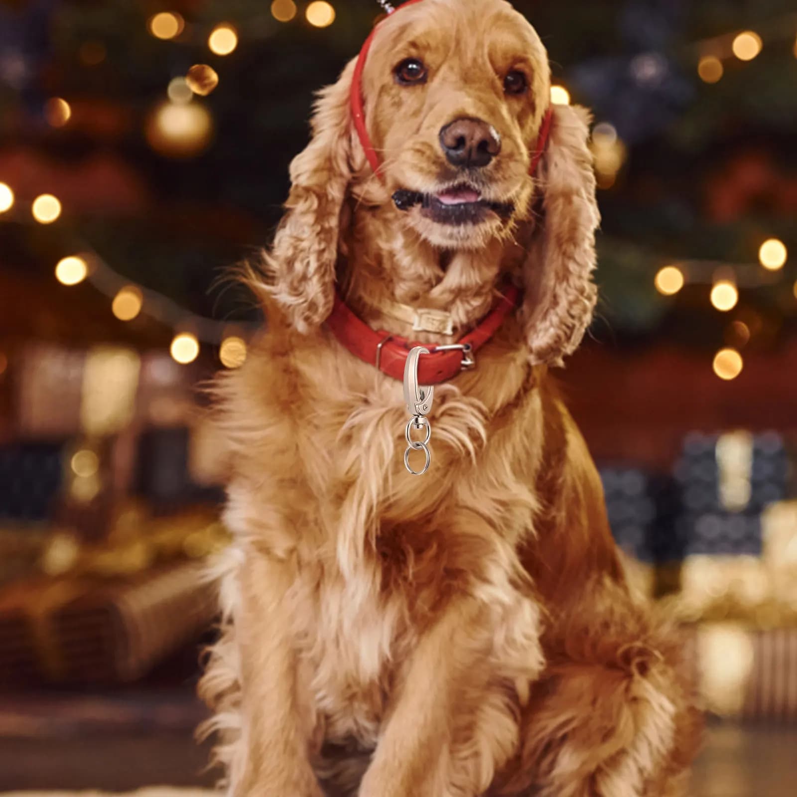 Set di 1 clip per targhetta identificativa per cani, in lega di zinco, a sgancio rapido, robuste e leggere, per collare e guinzaglio