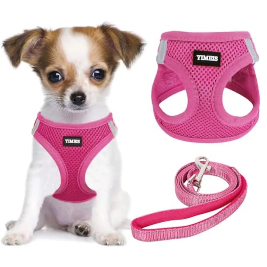 Set di pettorina e guinzaglio per cani, senza tirare, in morbida rete, pettorina per animali domestici, riflettente, regolabile, per cani di piccola, media e grande, gatti, rosa