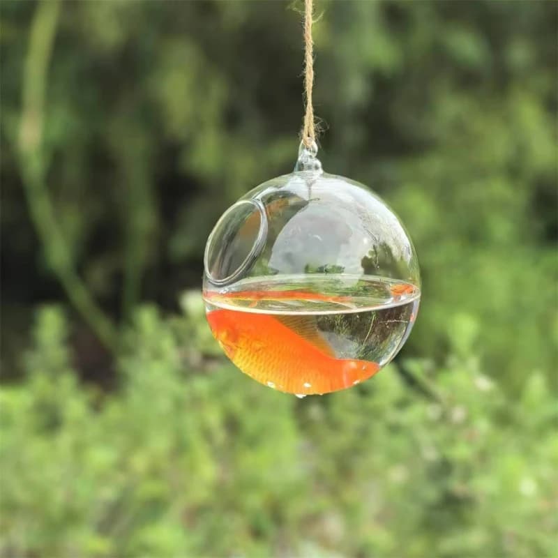 Terrario in Vetro Trasparente con Diametro di Imballaggio Ridotto=10cm 12cm 15cm 20cm, Acquario Creativo per Decorazione Domestica, Contenitore Regalo