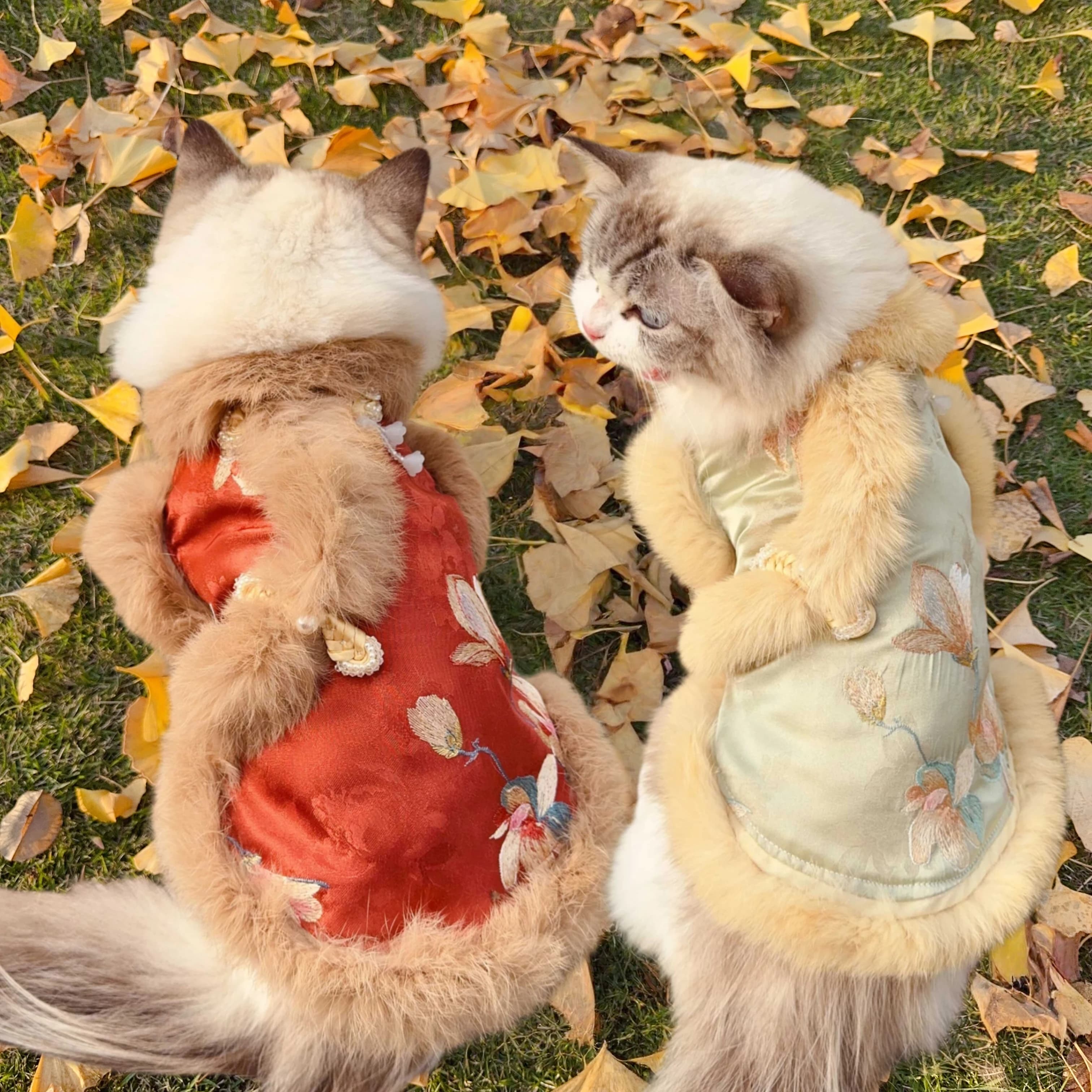 Vestiti per cani da compagnia Cappotto con colletto in peluche per piccoli gatti Giacca per cani autunno inverno Abbigliamento natalizio per Capodanno Spogliatoio caldo per animali domestici