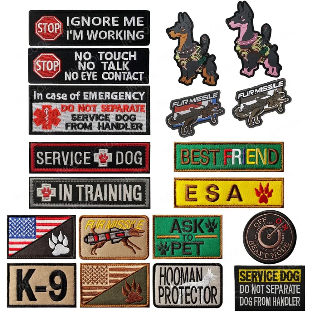 Best Friend ESA Service Dog Working Training Ask Pet badge K9 Beast Mode Patch gomma PVC per imbracatura gilet collare guinzaglio