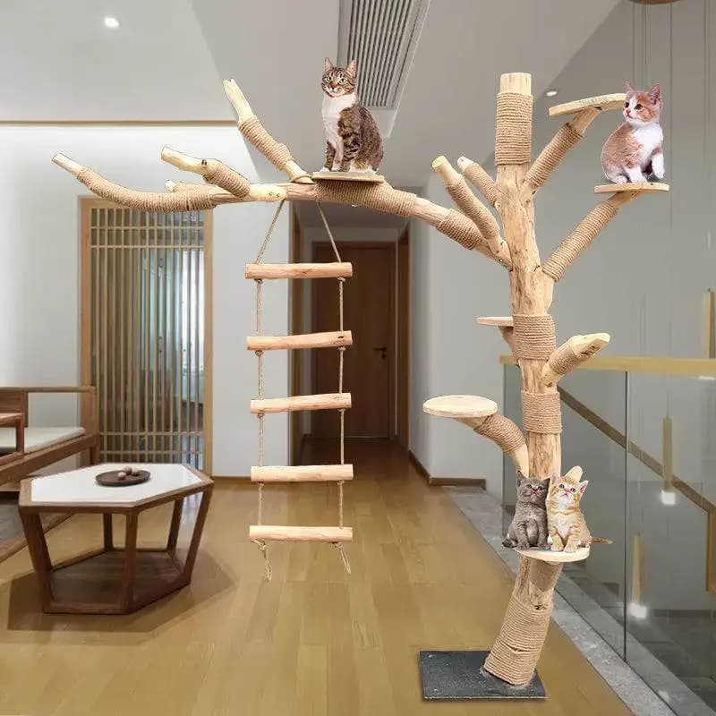 Albero grande a forma di albero morto Tronco reale Struttura da arrampicata per gatti Alberi finti Puntelli Giocattoli da scalatore Decorazione di forniture