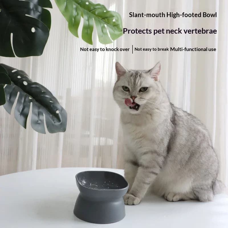 15 ° Ciotola per cibo per cani gatto rialzata con bocca obliqua Design anti-vomito con base antiscivolo Alimentatore a doppio scopo Ciotola per acqua per alimentazione animali domestici